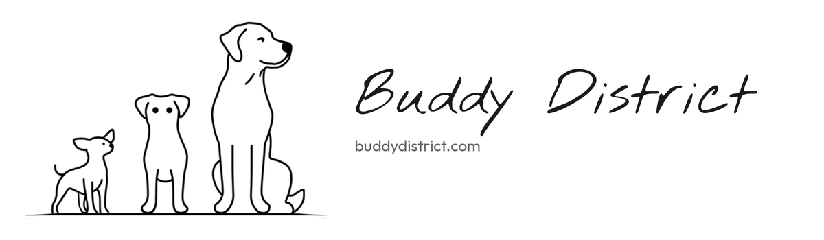 buddydistrict.com